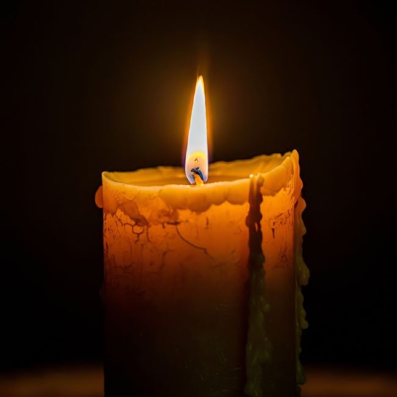Fig & Cedar Candle
